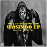 MP3: Bee Soul & Blaq Owl – Planet Jupiter