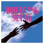MP3: Busiswa Ft. Naira Marley – Where You Dey Go