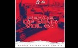 Dj Ace – Peace of Mind Vol 64 Sunday Chillas Slow Jam Mix