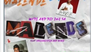 W4DE & Djy Zan SA – Malende