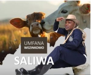 Saliwa – Amakhansela Ayasebenza
