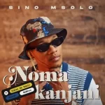 Sino Msolo – NomaKanjania