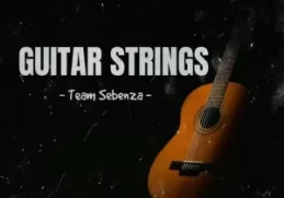 Team Sebenza – Guitar Strings