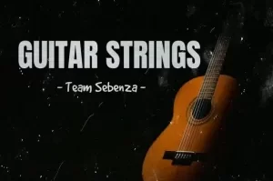 Team Sebenza – Guitar Strings