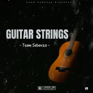 Team Sebenza – Guitar Strings