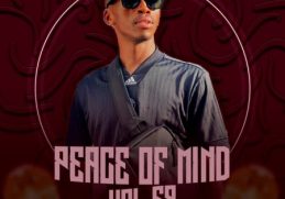 DJ Ace – Peace of Mind Vol 69