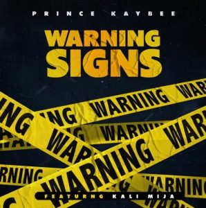 Prince Kaybee – Warning Signs