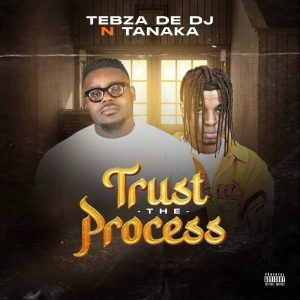 Tebza De DJ – Trust the Process