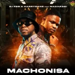 DJ KSB, HarryCane & Makhadzi – Machonisa