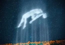 Dj Pre_Tedzo – Let It Go