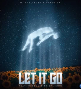 Dj Pre_Tedzo – Let It Go