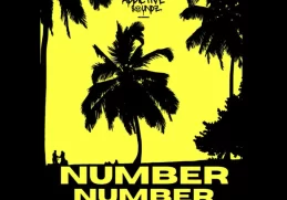 AquaReece & Da Real Emkay – Number Number