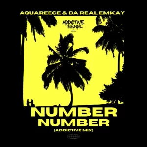 AquaReece & Da Real Emkay – Number Number