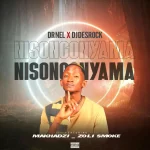 Dr Nel – Nisongonyama