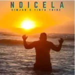 Tinta Tribe & SimjaR – Ndicela