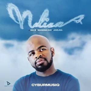 CyburmusiQ – Ndiza