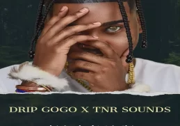 Drip Gogo & TNR Sounds – uMkhovu