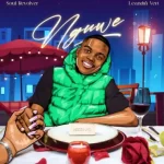 Soul Revolver & Leandra.Vert – Nguwe