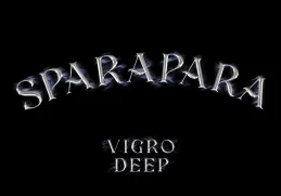 Vigro Deep & Focalistic – Sparapara