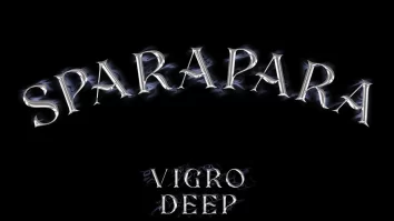 Vigro Deep & Focalistic – Sparapara