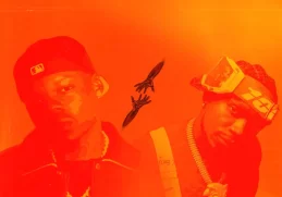 Harmonize – Disconnect