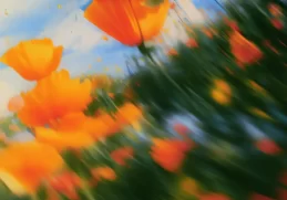 RÜFÜS DU SOL – Music is Better