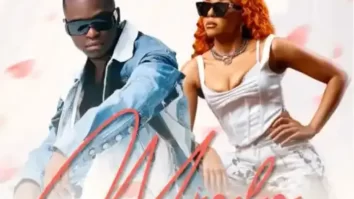 JL SA & Cici – Mjolo