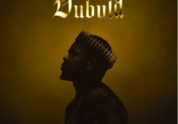 Harrycane – Dubula Dubula Album