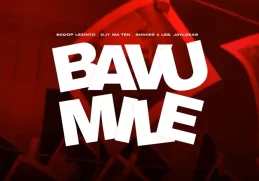 Scoop Lezinto, Djy Ma’Ten & Shakes & Les – Bavumile