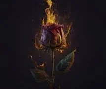 Entity MusiQ & Dollar – Impilo Yase Kasi