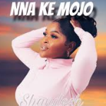 Shandesh – Nna Ke Mojo Ft. Shebeshxt & Nale Boy