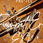 King-saiman, Pro-Tee & Deejay Zebra SA – Tables will turn (Trumpet Gqom)