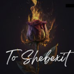 Vardo VJ – To Shebeshxt