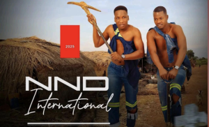 NND International – Icala