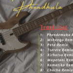 Dj Number – Phendemula