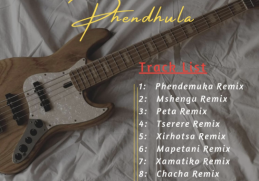 Dj Number – Phendemula