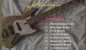 Dj Number – Phendemula