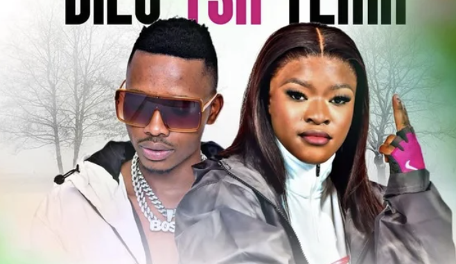 071 Nelly Master Beat x Kharishma – Dilo Tsa Yema