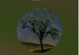 VA – Sanelow Dark, Vol. 14