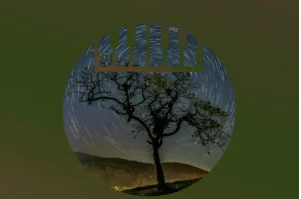 VA – Sanelow Dark, Vol. 14