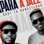 Mapara A Jazz – Pitori Funk