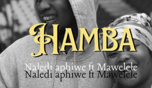 Naledi Aphiwe – Hamba ft. Mawelele