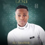 UZondi – Amandl’endoda Ft. uMaGumede Wenu