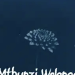 Why01.1 – Mthunzi Welanga ft uMalume Soul’s