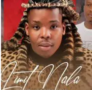 Limit Nala – SWEETIE MY DULULU Ft. UGATSHENI