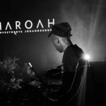 Stixx – Flying Fish Surprisingly Good Amapiano Mix