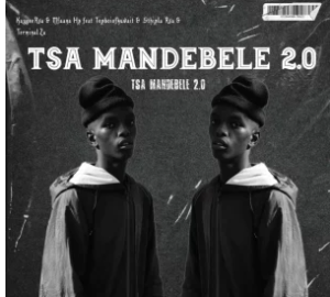 KaygeeRsa – Tsa Mandebele 2.0