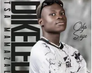 OHP Sage – Dikeledi Tsa Mamazala Album