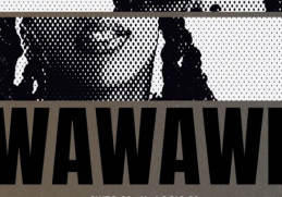 SIKZO SA – WAWAWE (ChxrryLand) ft Logic 59