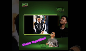 Nasty C – Dlala Ngcobo ft Blxckie